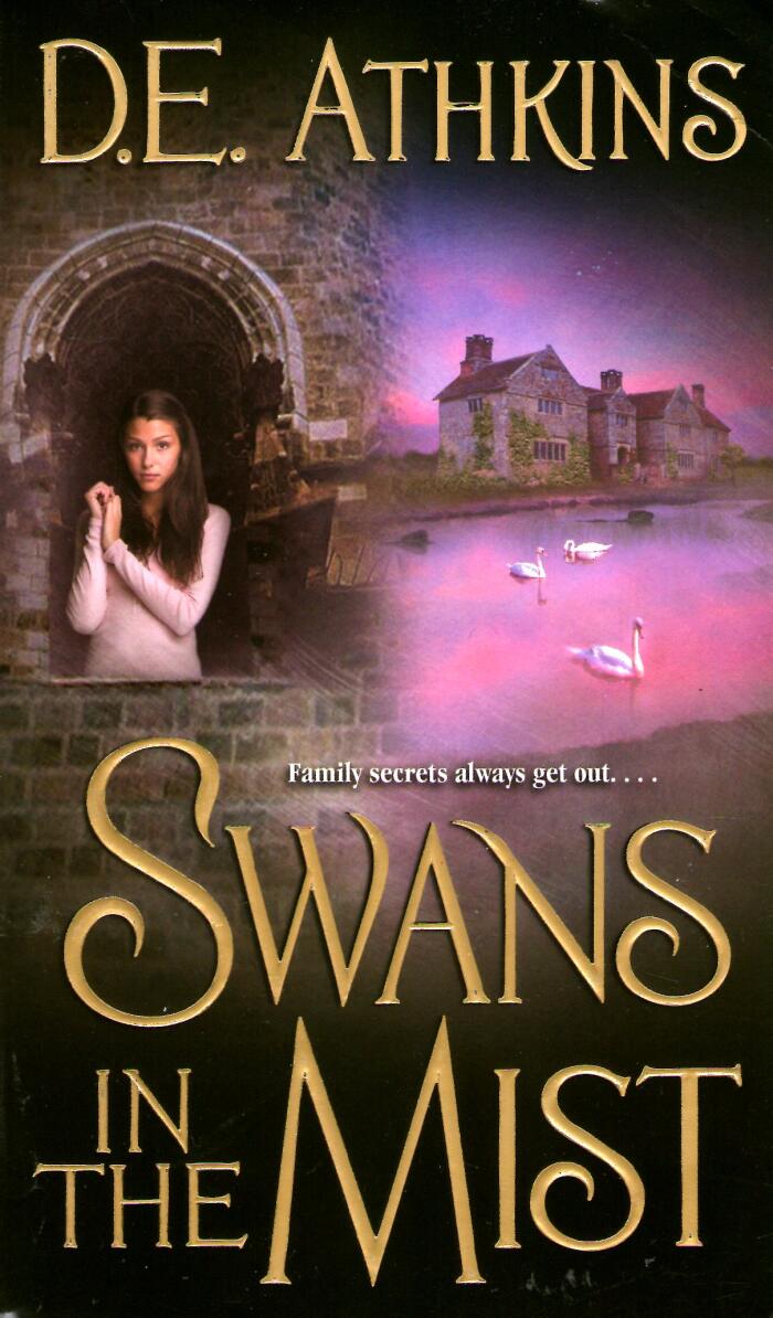 Swans in the Mist