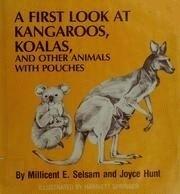A First Look at Kangaroos, Koalas, and Other Animals With Pouches