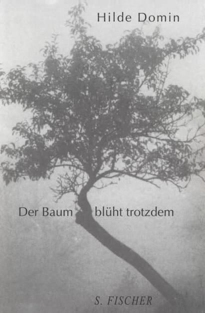 Der Baum Blüht Trotzdem