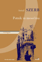 Potnik in mesečina