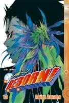 Reborn! 13: Hier kommt der Nebelwächter!