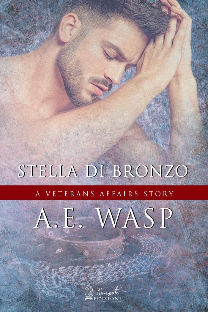 Stella di bronzo: A veteran affairs, Vol.4 (A VETERANS AFFAIRS Vol. 6)