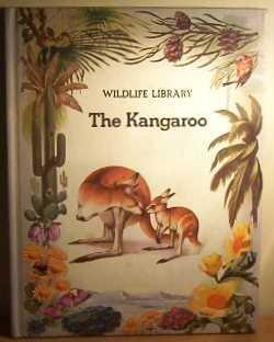 The Kangaroo