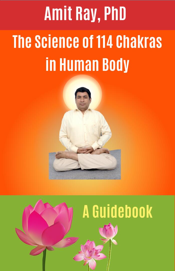 The Science of 114 Chakras in Human Body