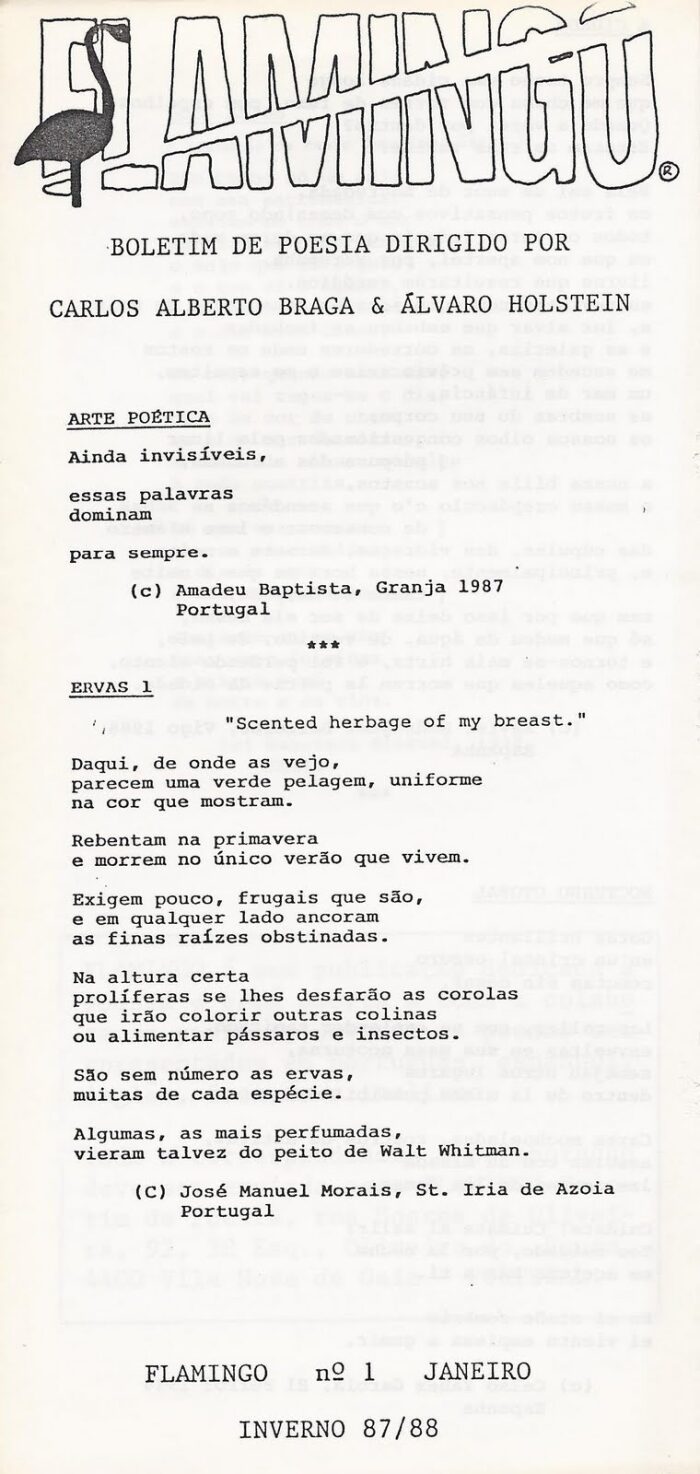 Flamingo. Boletim de Poesia nº 1