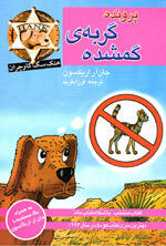 پرونده گربه‌ی گمشده