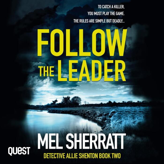 Follow the Leader: DS Allie Shenton, Book 2