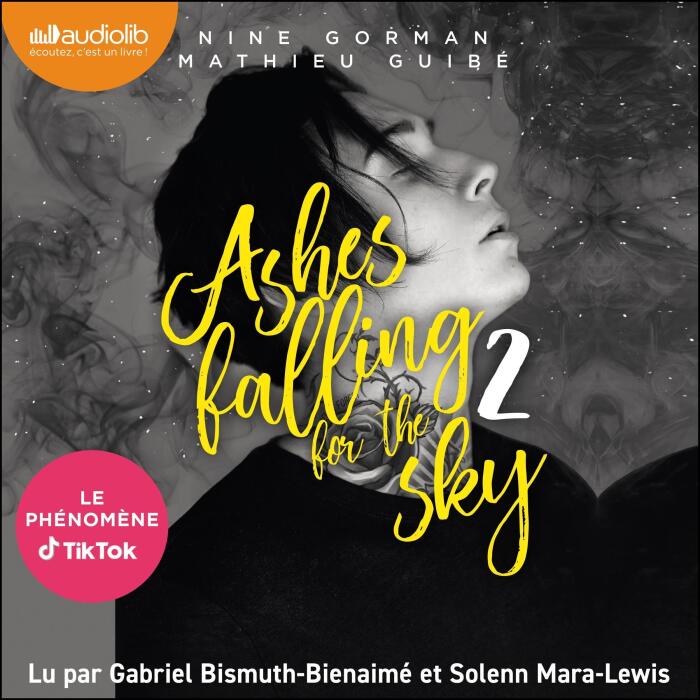 Ashes falling for the sky 2