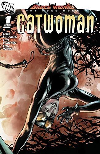 Bruce Wayne: The Road Home - Catwoman #1