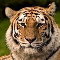 Richard Parker