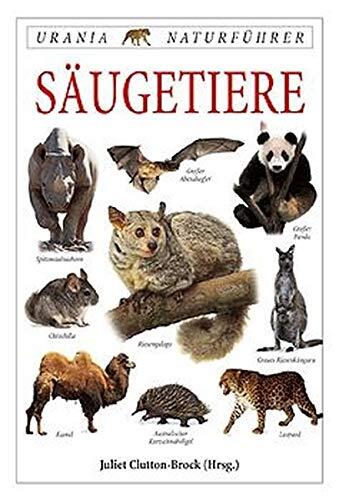 Säugetiere.