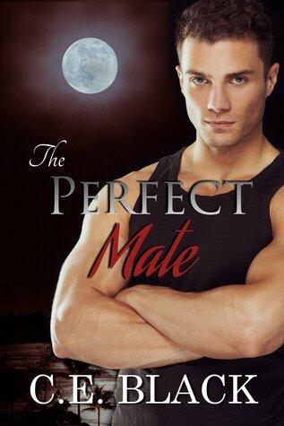 The Perfect Mate