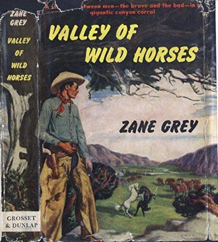 Valley of Wild Horses