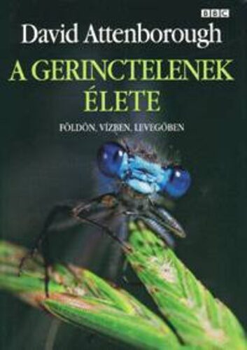 A ​gerinctelenek élete