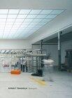 Rirkrit Tiravanija: Secession