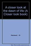 A Closer Look at the Dawn of Life