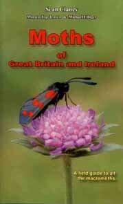 Moths of Great Britain & Ireland