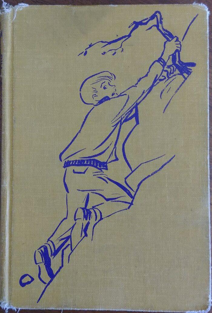 Bill Bergson and The White Rose Rescue