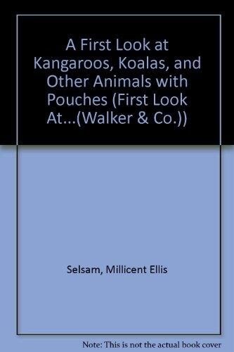 A First Look at Kangaroos, Koalas, and Other Animals with Pouches
