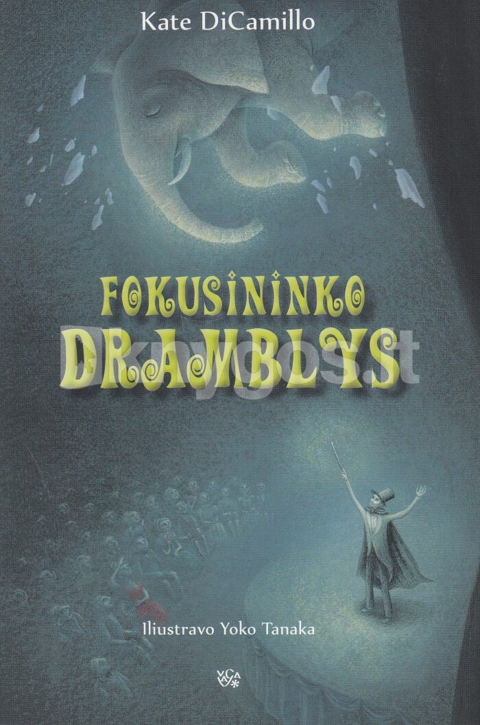 Fokusininko dramblys