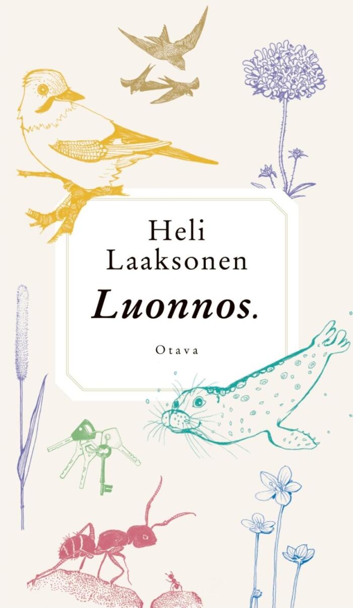 Luonnos
