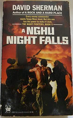Night Fighter Saga