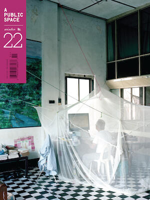 A Public Space no. 22