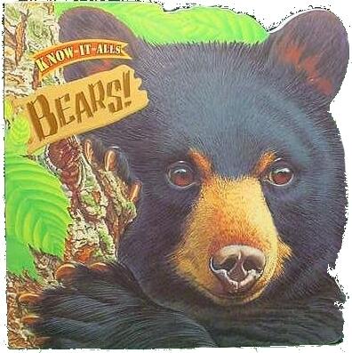 Bears