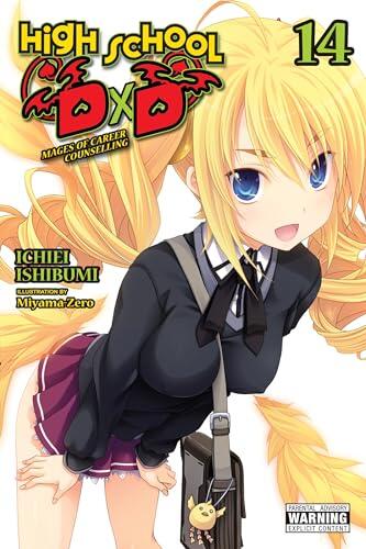 High School DxD, Vol. 14 (light novel) (Volume 14) (High School DxD