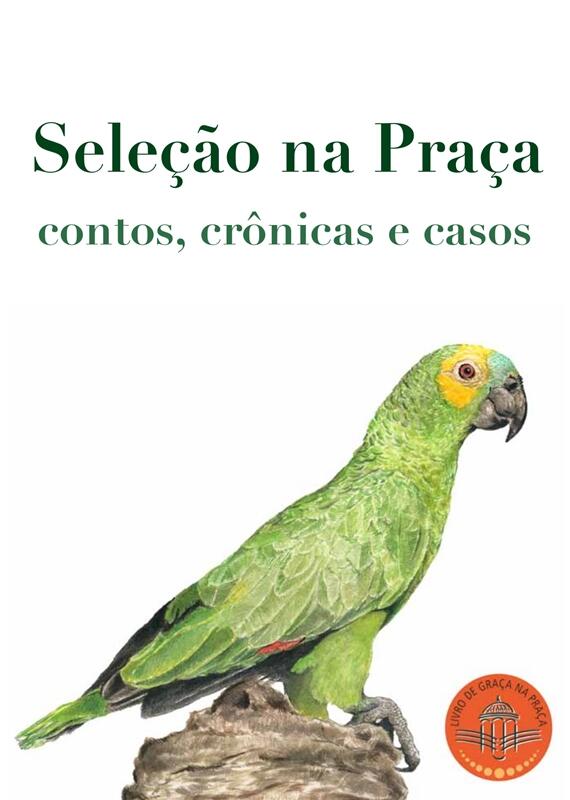 Seleção na Praça: Contos, Crônicas e Casos