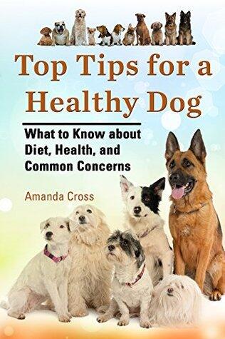Top Tips for a Healthy Dog