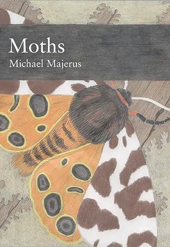 Moths