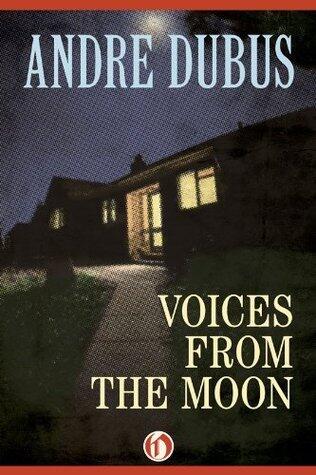 Voices from the Moon: A Novel