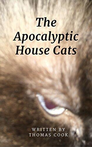 The Apocalyptic House Cats