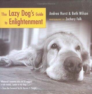 The Lazy Dog's Guide to Enlightenment