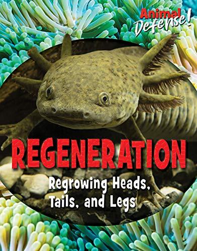 Regeneration: Regrowing Heads, Tails, and Legs