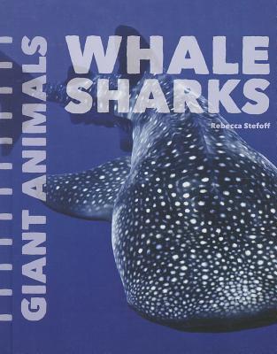 Whale Sharks