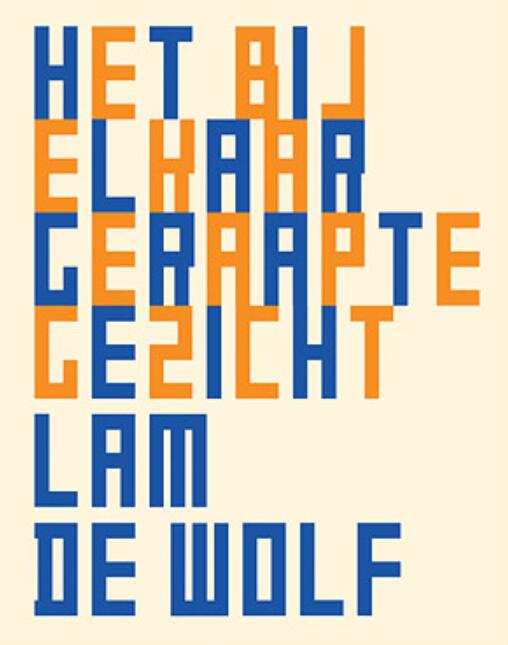 Het Bij Elkaar Geraapte Gezicht