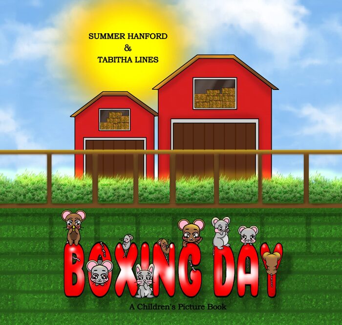 Boxing Day: A Children's Picture Book