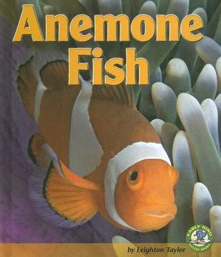 Anemone Fish