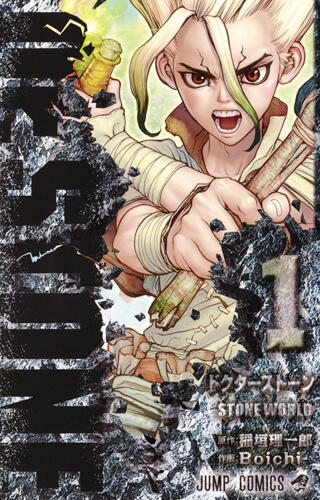 Dr. Stone