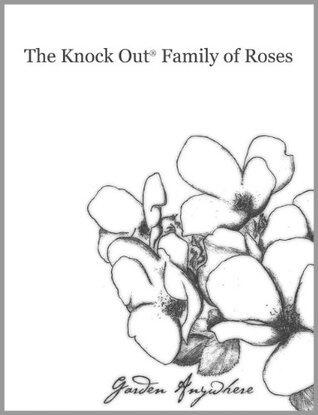 Knock Out Family of Roses