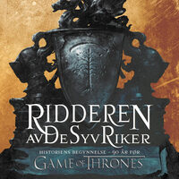 Den Mystiske Ridderen