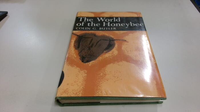 The world of the honeybee