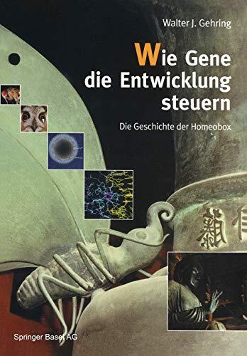 Wie Gene die Entwicklung Steuern: Die Geschichte der Homeobox