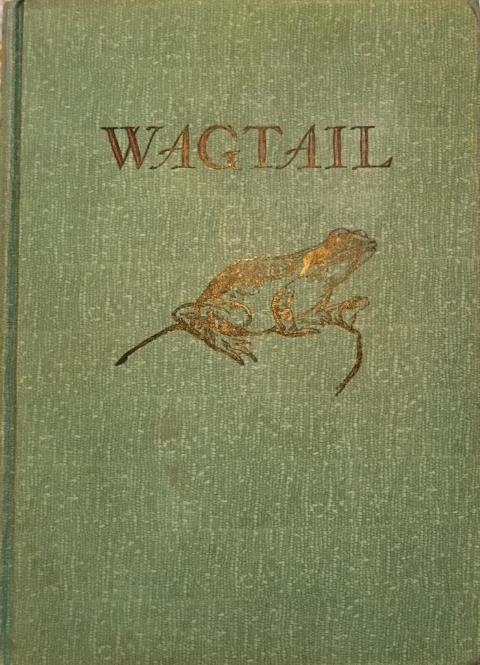 Wagtail