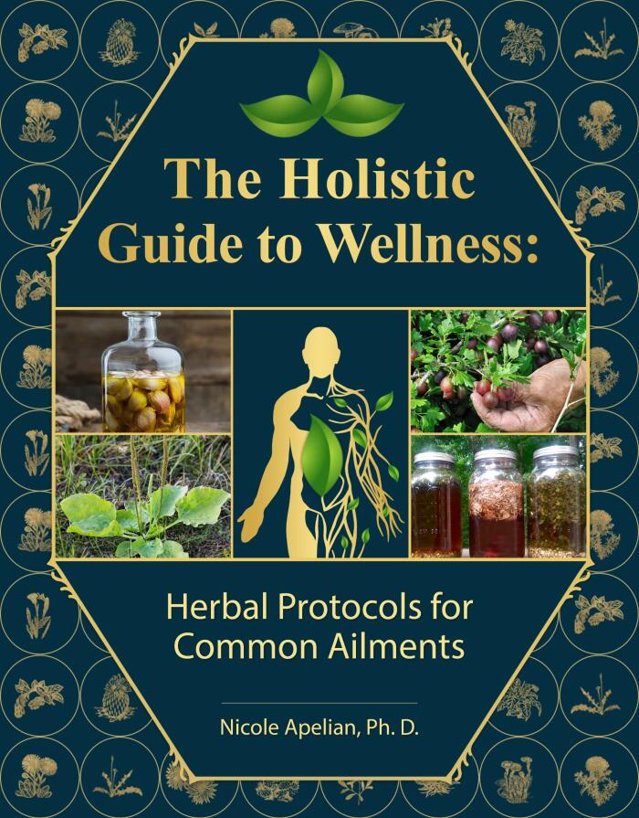 The Holistic Guide to Wellness (Herbal Protocols for Common Ailments)