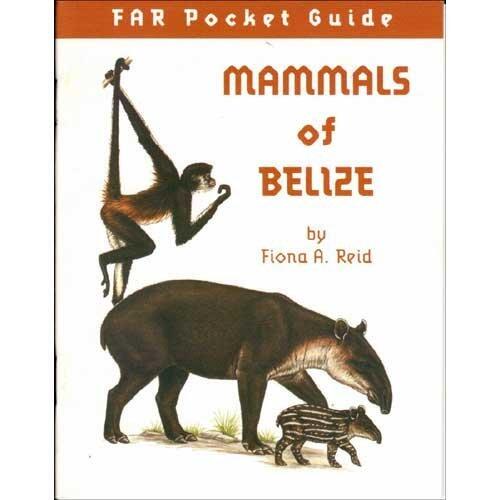Far Pocket Guide: Mammals of Belize