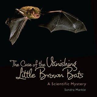 Case of Vanishing Little Brown Bats: A Scientific Mystery