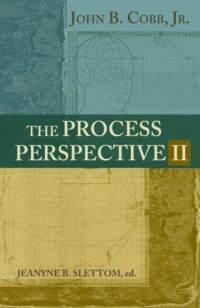 The Process Perspective II